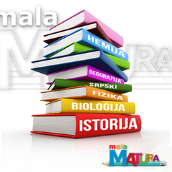 Полагање завршног испита за ученике 8.разреда – Мала матура